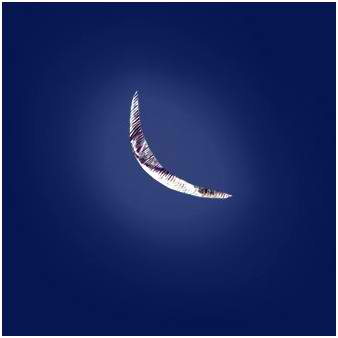 گالری ماه و آثار 41 هنرمند نقاش